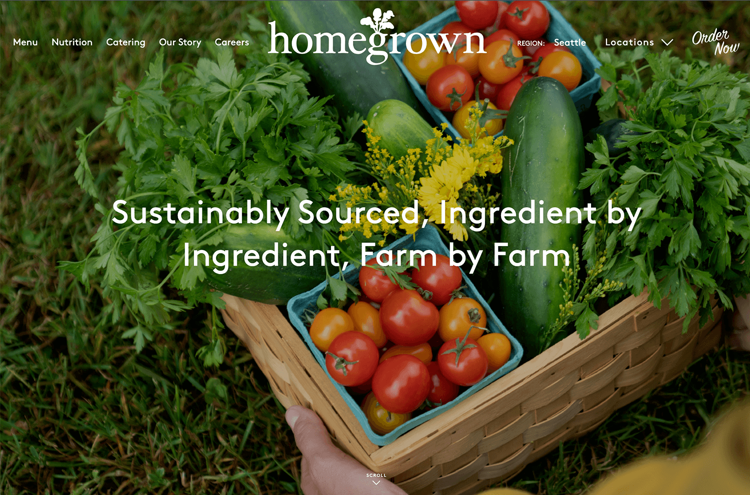 Homegrown background website